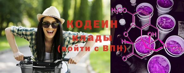 соль ск Ладушкин