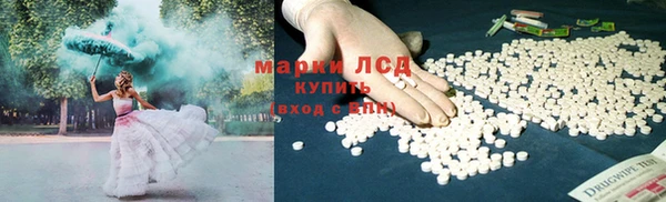 бошки Корсаков